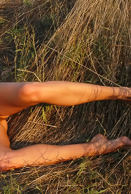 Alina Ns Shaved Pussy Tans Under The Sun